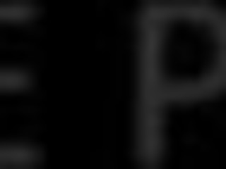 Executive Pleasures 3